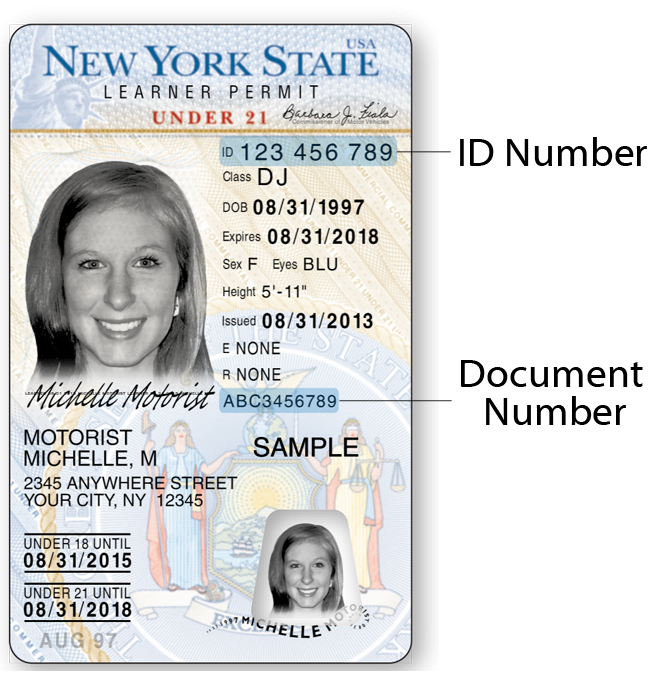 What is an audit number on a drivers license